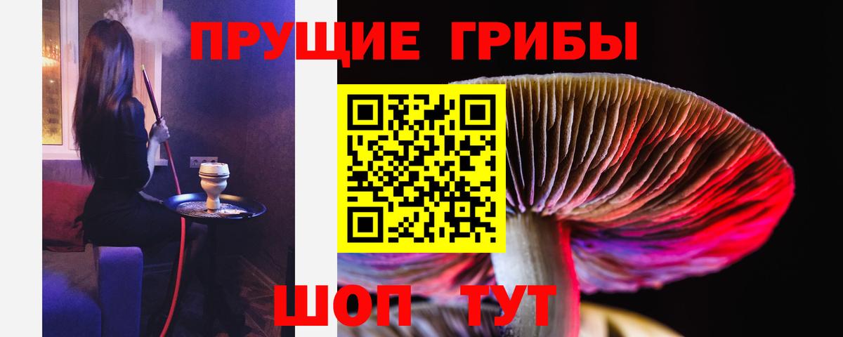 Галлюциногенные грибы Psilocybe Кириши